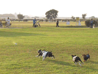 e0080117_2329527.gif