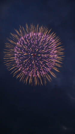 f0060424_756023.jpg