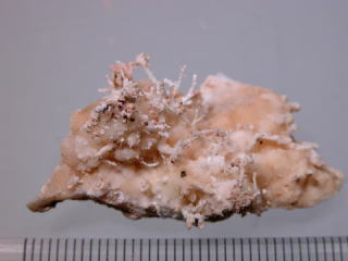 d0045626_236241.jpg