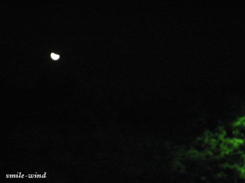 e0092926_0522744.jpg