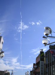 f0038336_8395567.jpg