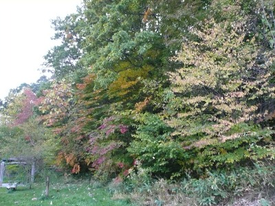 d0038644_0522037.jpg
