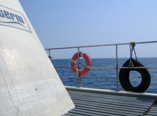 b0025850_22534078.jpg