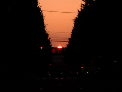 c0050264_0534931.jpg