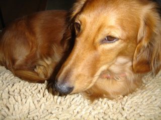 2006年10月16日 さぼりぐせがついたなあ_b0098584_1752593.jpg