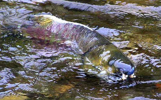 a0067991_1033085.jpg
