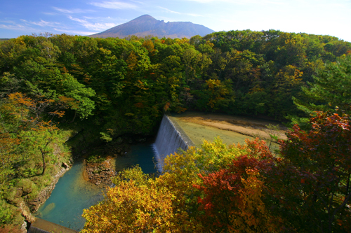 森の大橋_b0072697_19573273.jpg