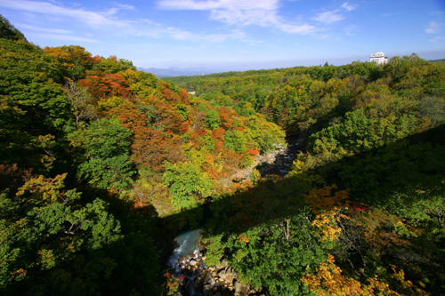 b0072697_2024747.jpg