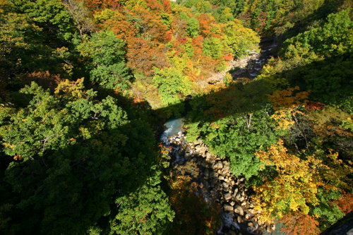 森の大橋_b0072697_2033146.jpg