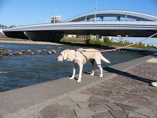 a0039299_13141.jpg