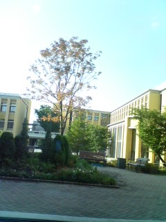 c0052600_2482613.jpg