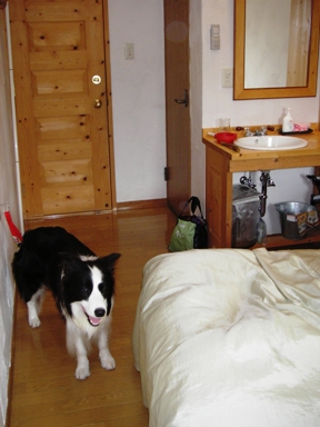 f0034602_1971439.jpg