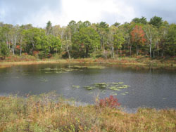 f0006509_18073.jpg
