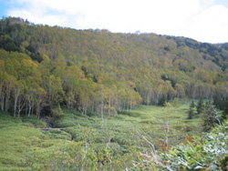 f0006509_18344.jpg