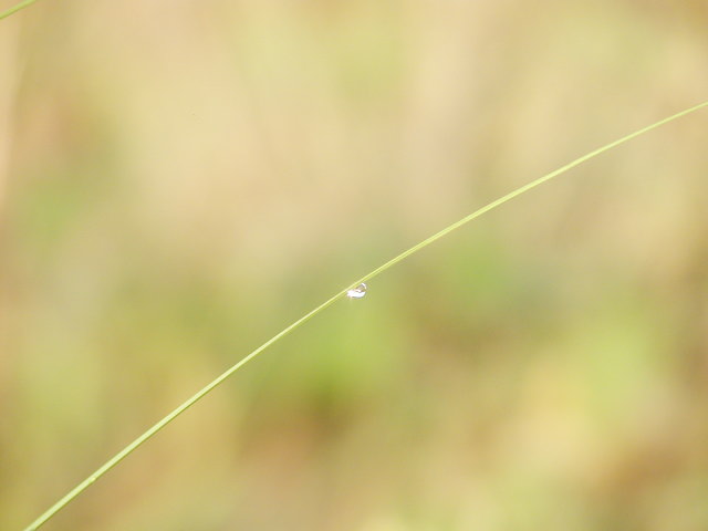 a0030713_21141251.jpg