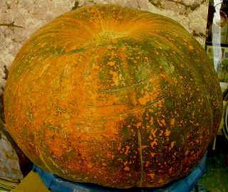 c0066514_1228723.jpg