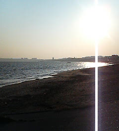 d0065116_20551421.jpg