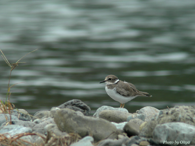 f0003418_21211983.jpg