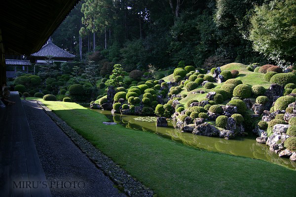 龍潭寺　その弐_c0037519_6282995.jpg