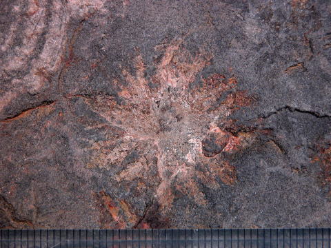 d0045626_22275655.jpg