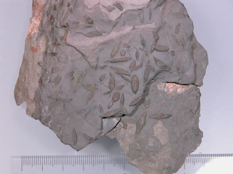d0045626_22465630.jpg