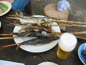 ヤナで食べる鮎_f0076731_15583979.jpg