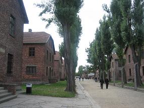 f0048134_17293445.jpg