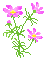 f0067245_19591011.gif