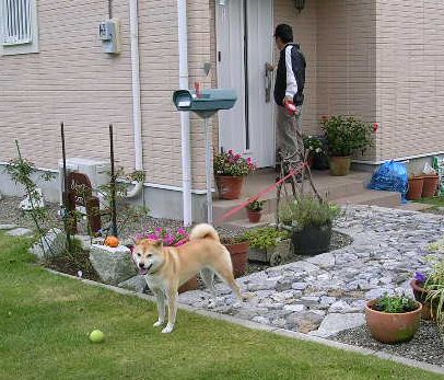 2006年10月17日(火)・・・愛ちゃんは絶好調_f0060461_10292269.jpg