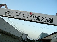 秋の県立つつじが岡公園 2006 (館林市）【つつじ（返り咲き）】_b0004675_214229.jpg