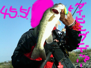 釣果報告_a0040876_22324426.jpg