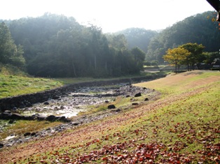 d0072782_10210.jpg