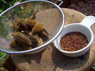 c0033992_1611531.jpg