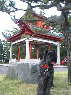 c0037701_2140093.jpg