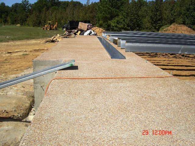 c0062603_1347514.jpg