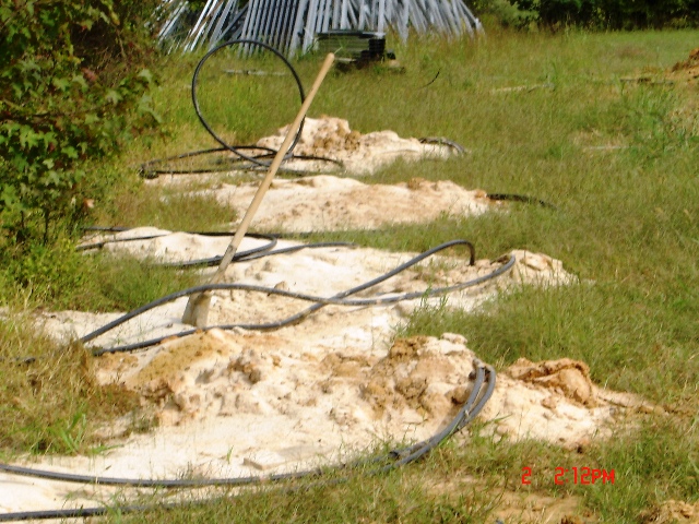 c0062603_13482528.jpg