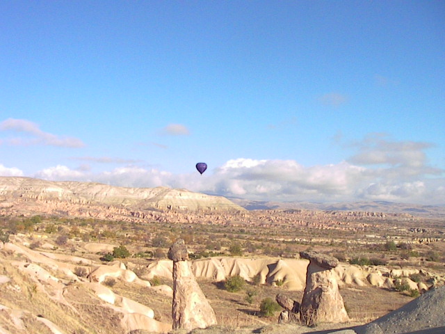 f0038407_525136.jpg