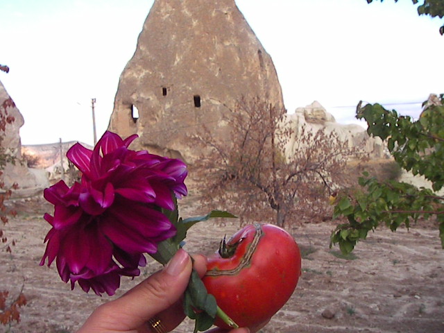 f0038407_5451382.jpg