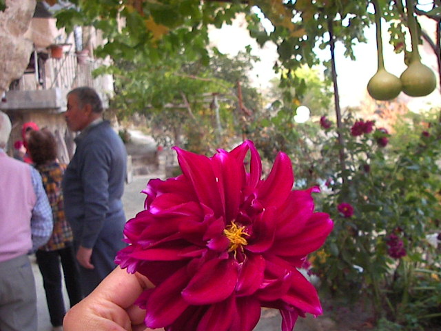 f0038407_549117.jpg