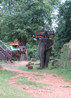 f0048333_2325036.jpg