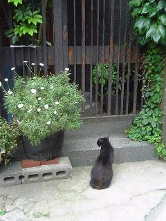 今日はね~_a0075738_20582678.jpg