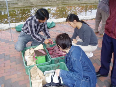 c0096038_2345832.jpg