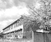 f0084643_145114.jpg