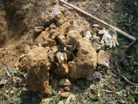 e0033751_23125885.jpg