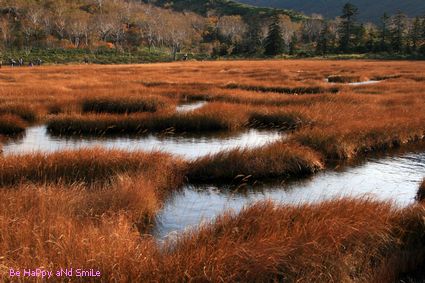 ニセコ神仙沼　－紅葉と登山とハイキング－_f0077759_2319484.jpg