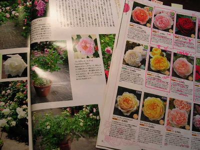 2006年10月18日(水)愛ちゃんと薔薇_f0060461_20313219.jpg