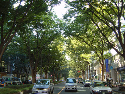 c0050264_0375724.jpg