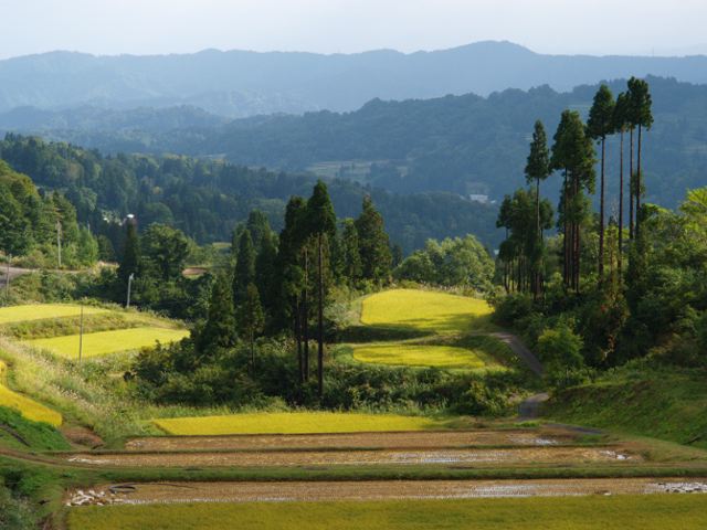 a0025576_2240164.jpg