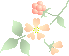 d0031078_423076.gif