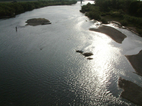 e0074782_2291821.jpg